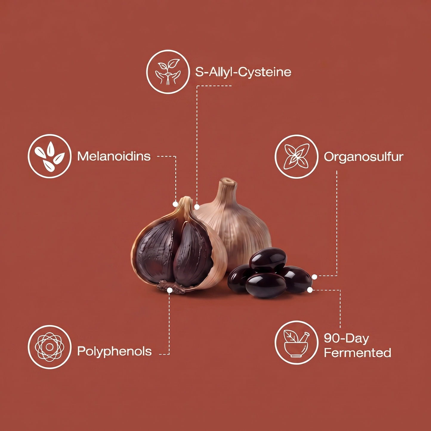 90-Day Fermented Black Garlic Extract